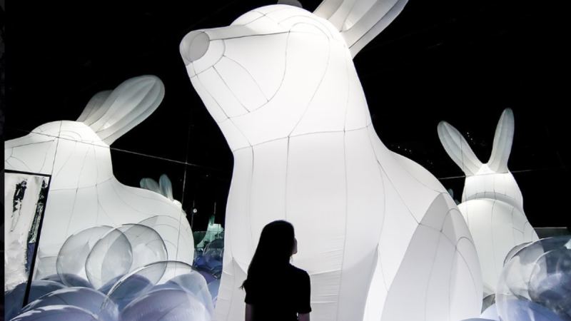Alluring South Korean Art Museum To Open In Dubai Mall