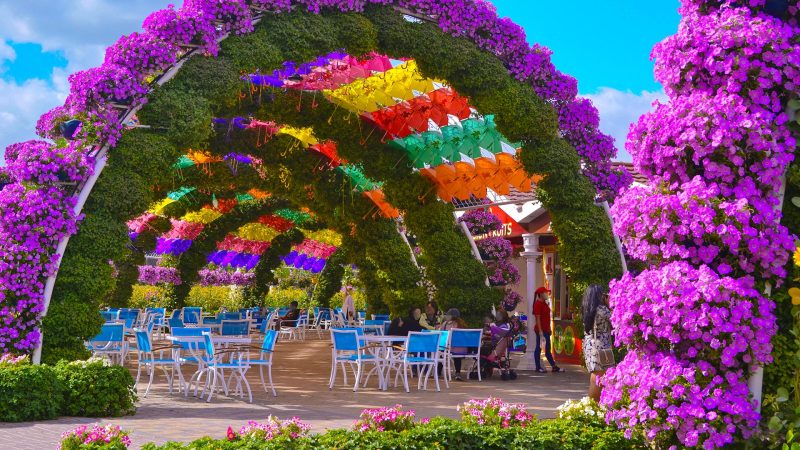 Dubai Miracle Garden Is Reopening This Weekend