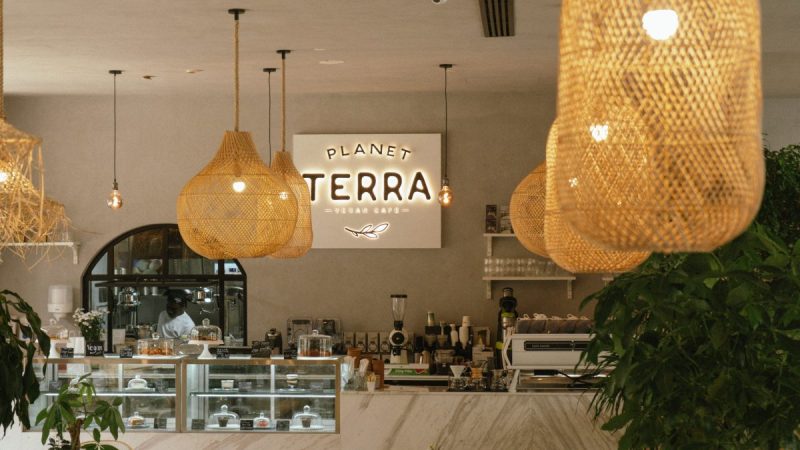 Homegrown Vegan Café Planet Terra Opens Second Dubai Branch