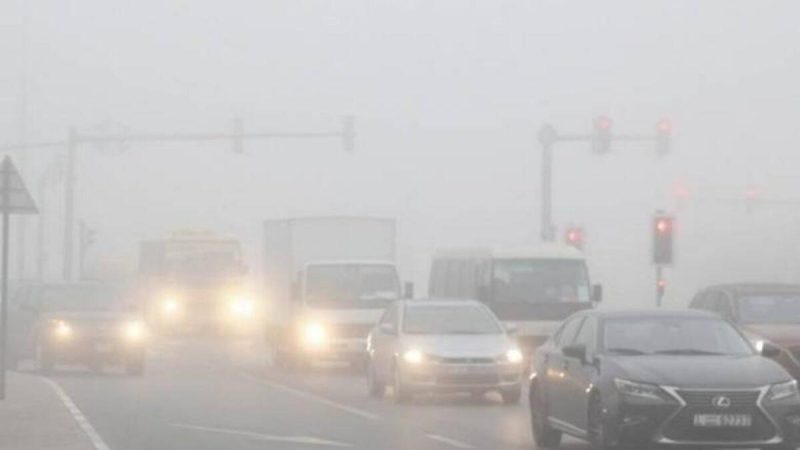 Red Alert Issued For Fog Across UAE; Authorities Warn About Poor Visibility On Roads