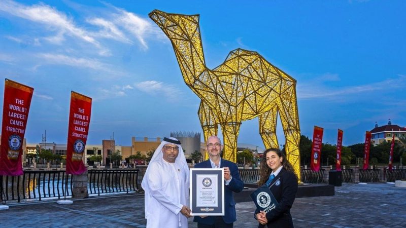 Dubai Sets Global Record For Largest LED Illuminated Camel In The World