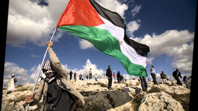 Here Is How You Can Support Palestinians In Gaza From The UAE