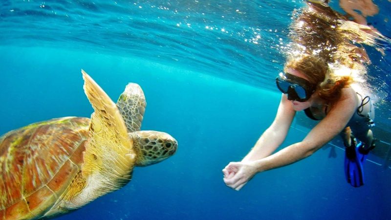 Enjoy Snorkelling In The World’s Largest Freshwater Cichlid Aquarium In Dubai